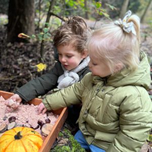 Maanzaad schatzoeken